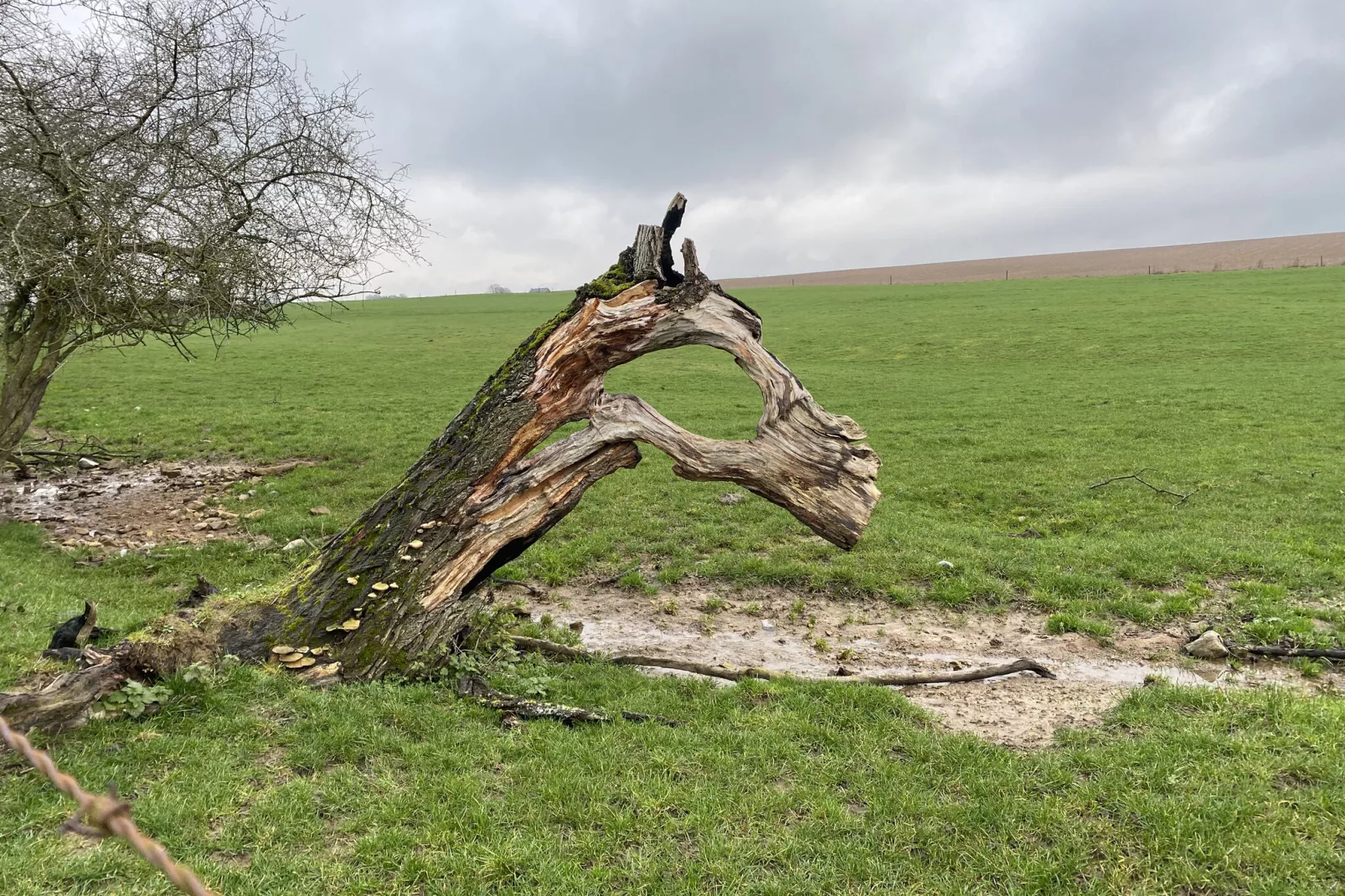 La ferme de Filot-Niet-getagd