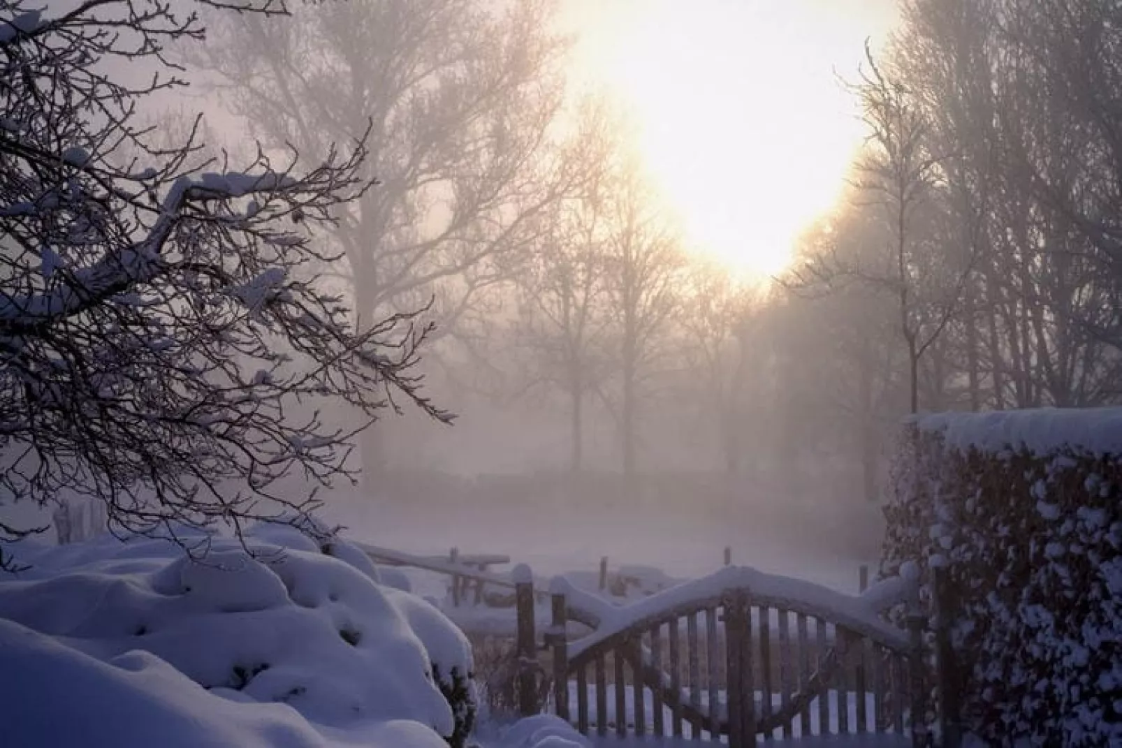 Gastehaus-Uitzicht winter