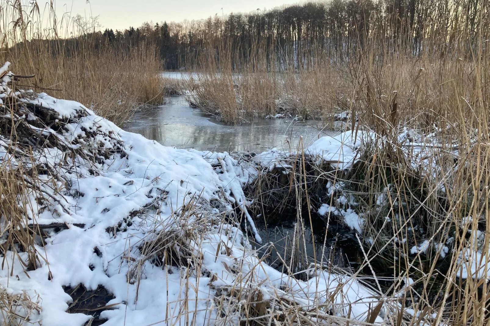 Wohnen im Gutshaus-Gebied winter 1km