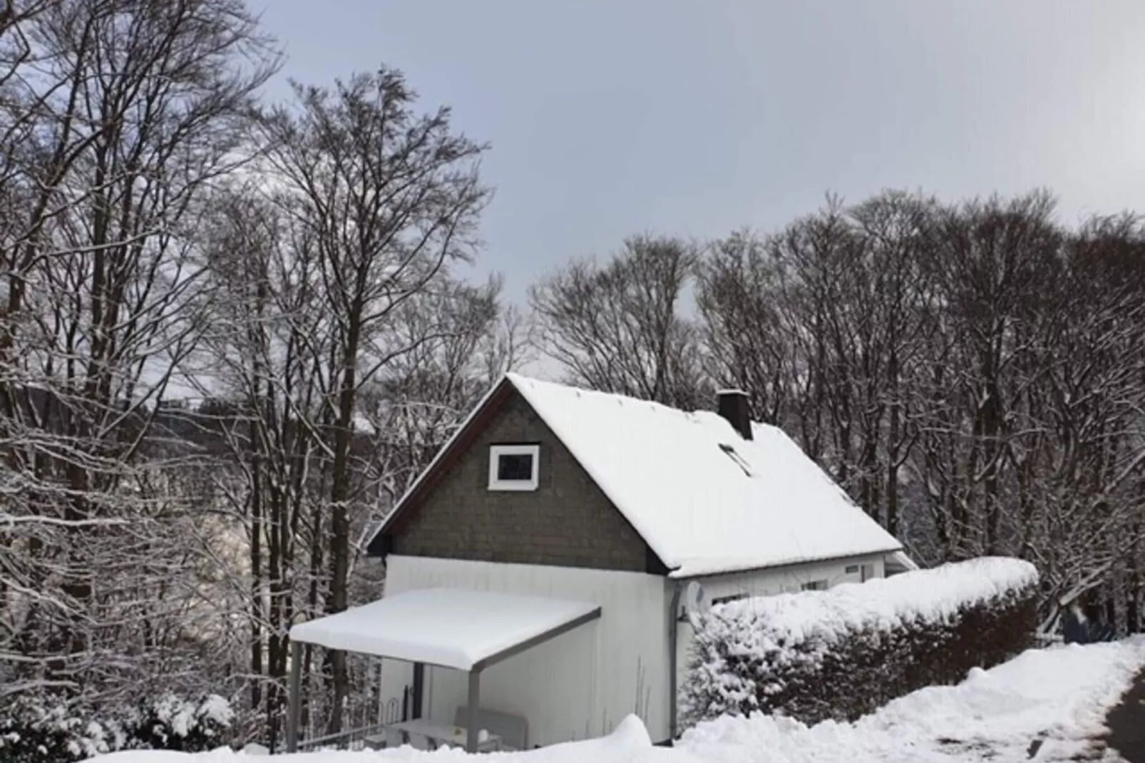 Am Wald-Exterieur winter