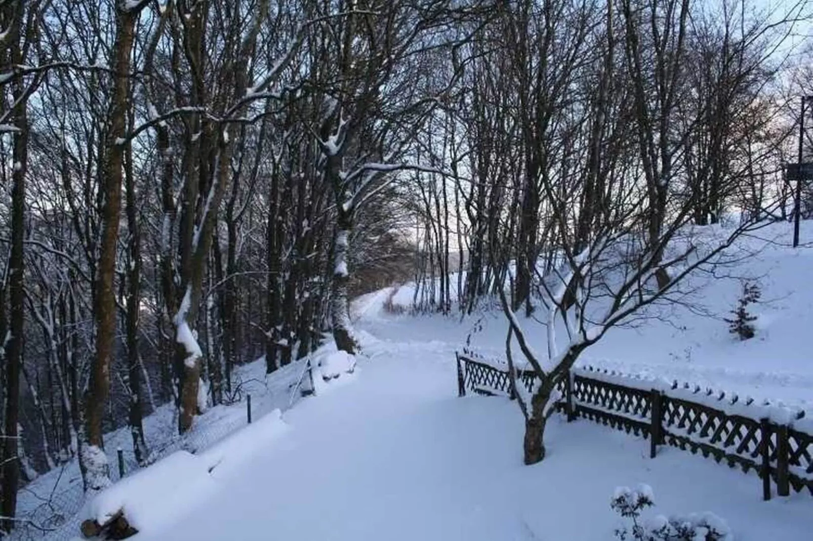 Am Wald-Uitzicht winter