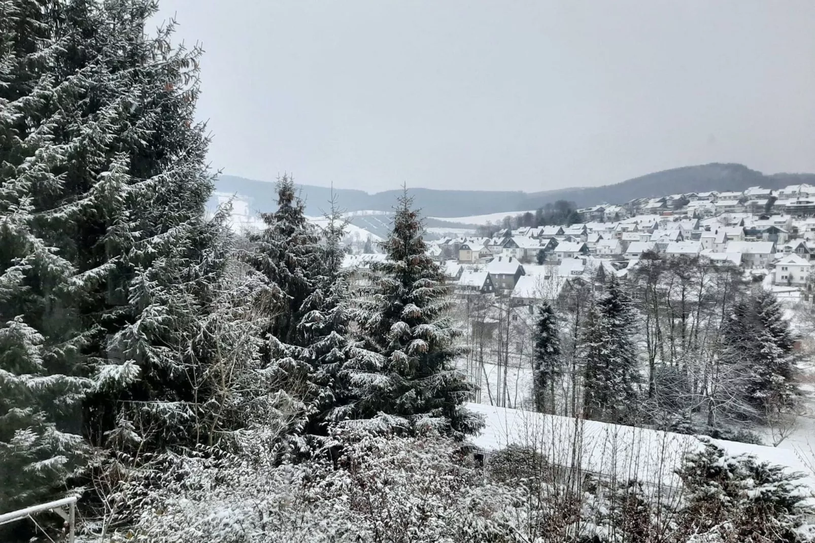 Am Hömberg-Gebied winter 1km