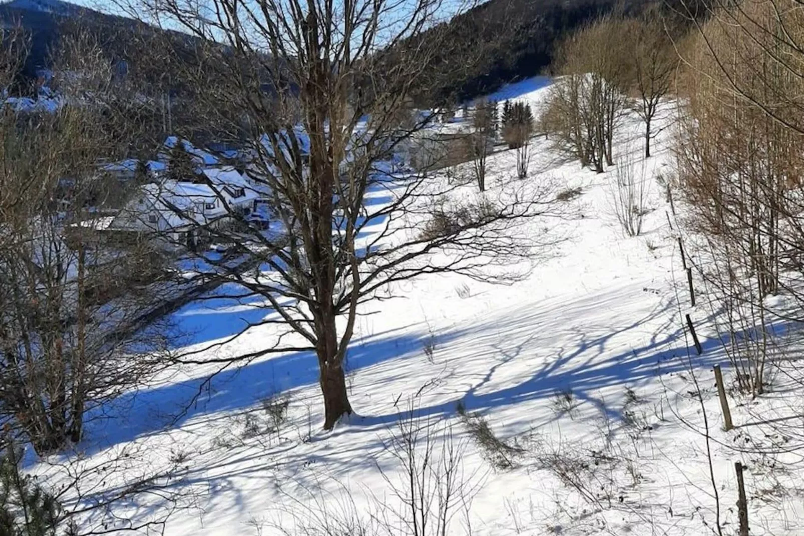 Am Hömberg-Gebied winter 1km