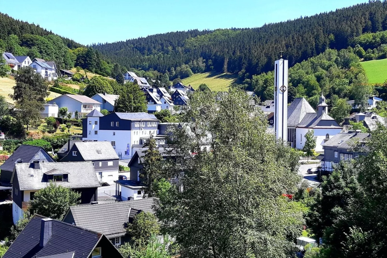 Bergfreiheit-Gebieden zomer 1km