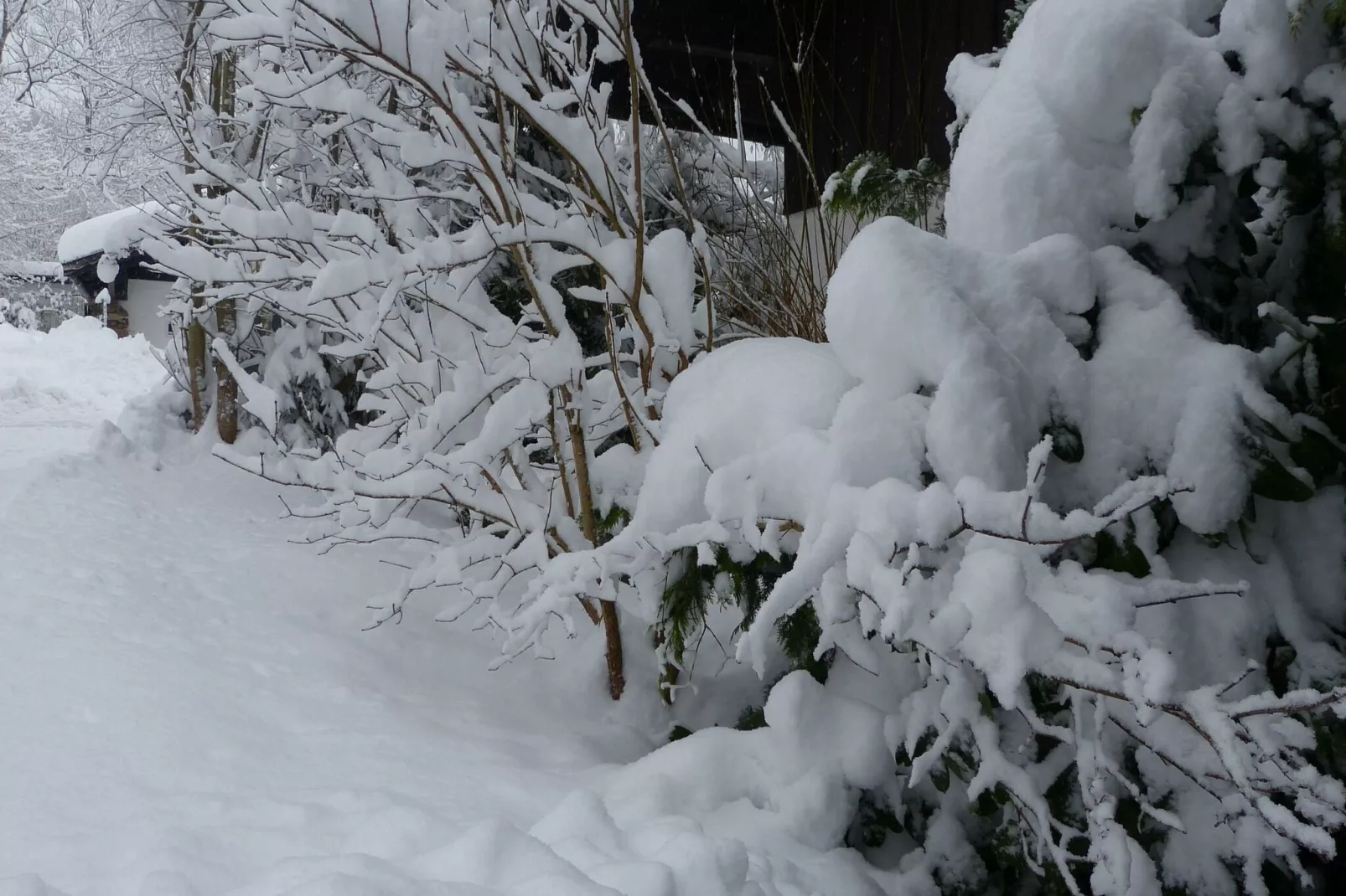 Ferienwohnung Zenting-Tuin winter