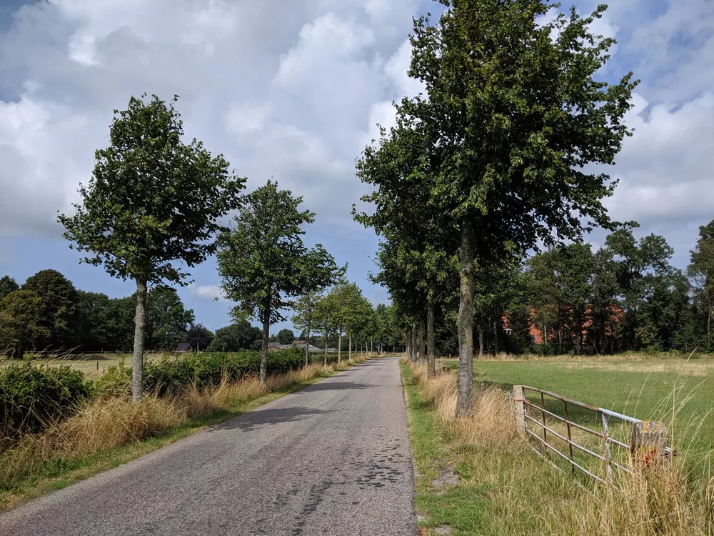 Boerenlandschap in Bakhuizen