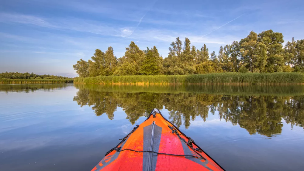 Kanoën in de Biesbosch