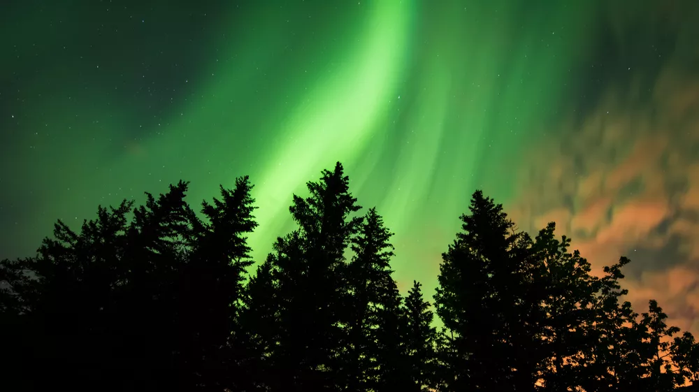 Noorderlicht in Zweden bekijken