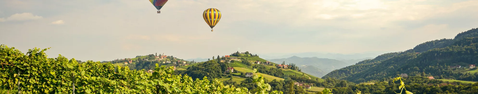 Vakantiehuizen Innerkrems