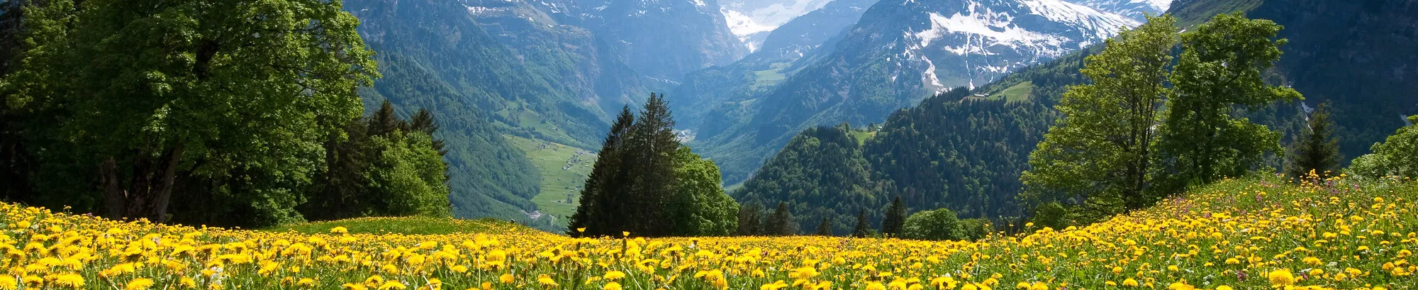 Vakantiehuizen Glarus