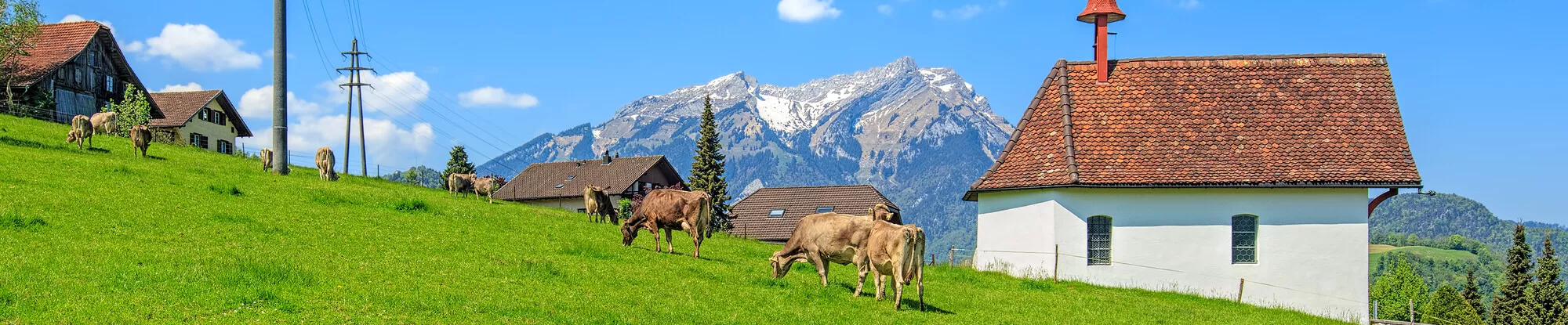 Vakantiehuizen Nidwalden