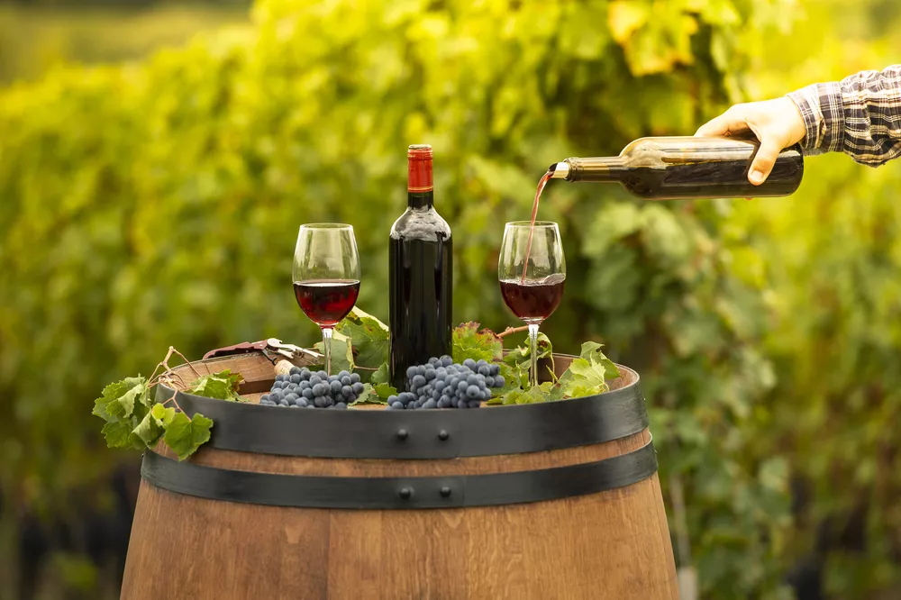 Top 3 mooiste wijnstreken in Frankrijk voor een vakantie