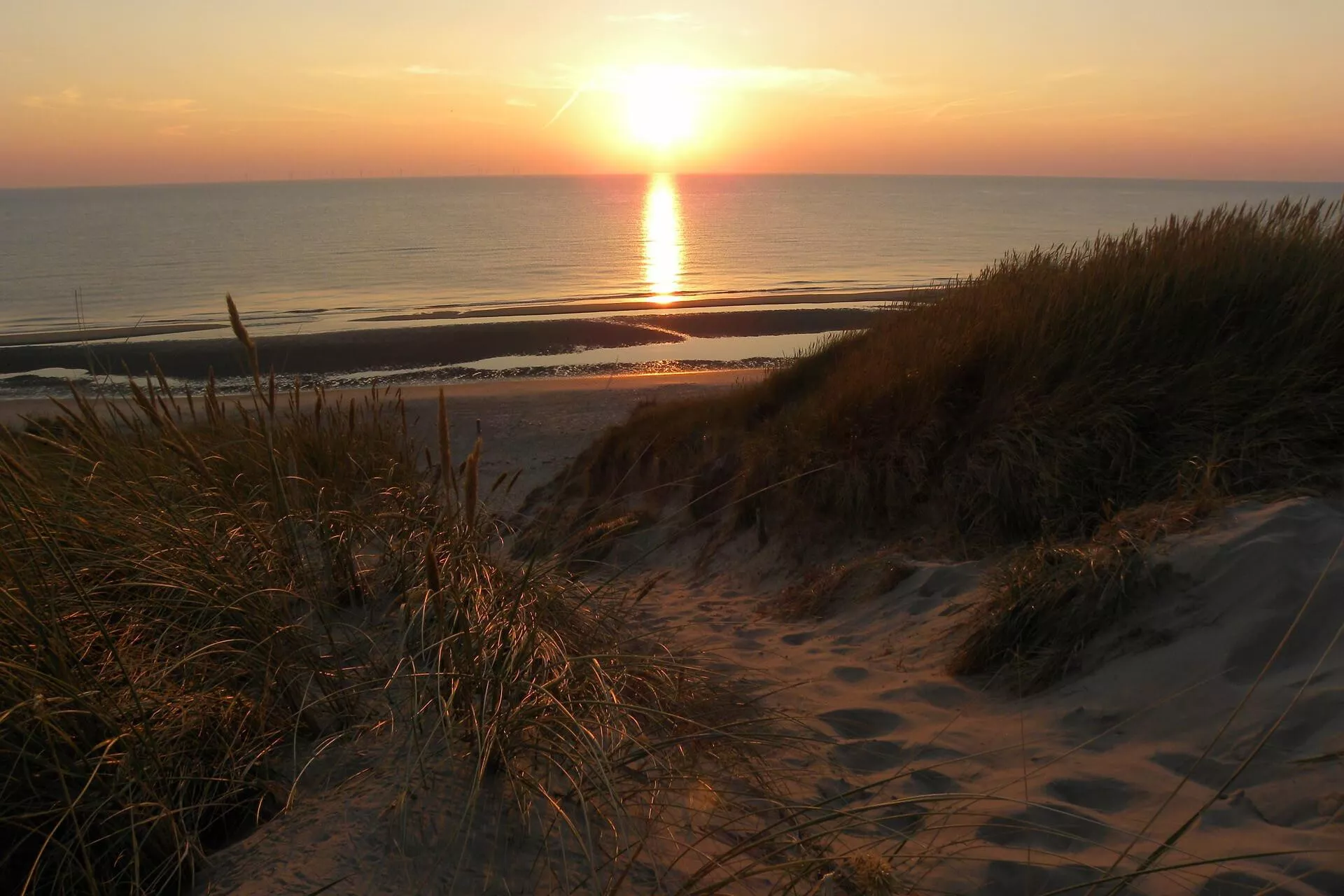 De mooiste stranden van Nederland