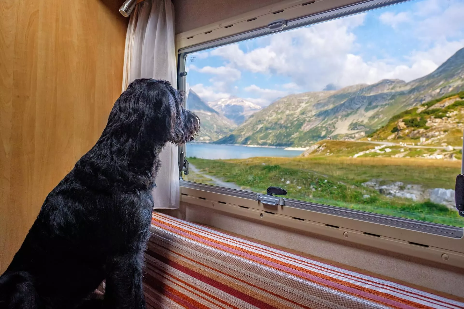 Tips voor een vakantie naar Frankrijk met de hond