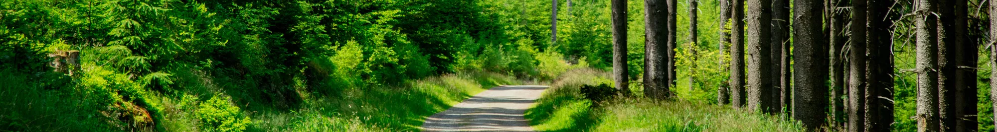 Vakantiehuizen Borowna