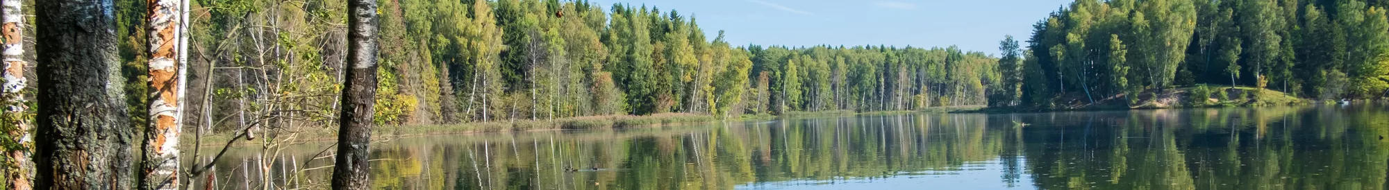 Vakantiehuizen Eringsboda