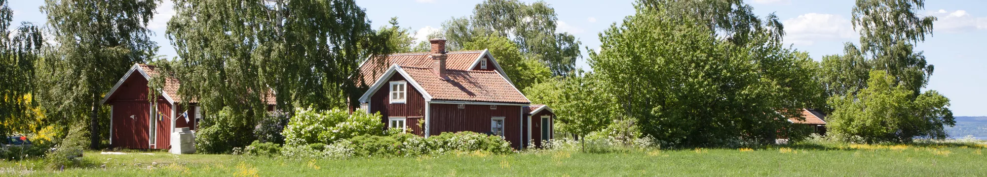 Vakantiehuizen Siljansnäs