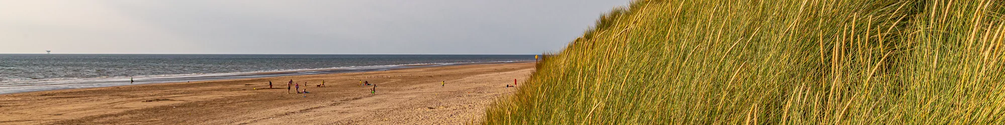 Vakantiehuizen Halland