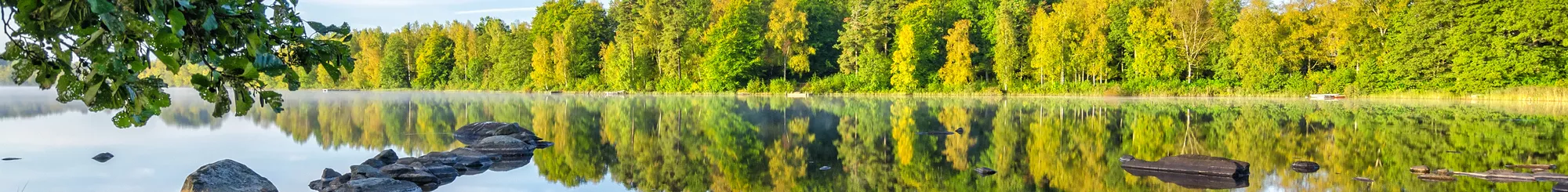 Vakantiehuizen Värmland