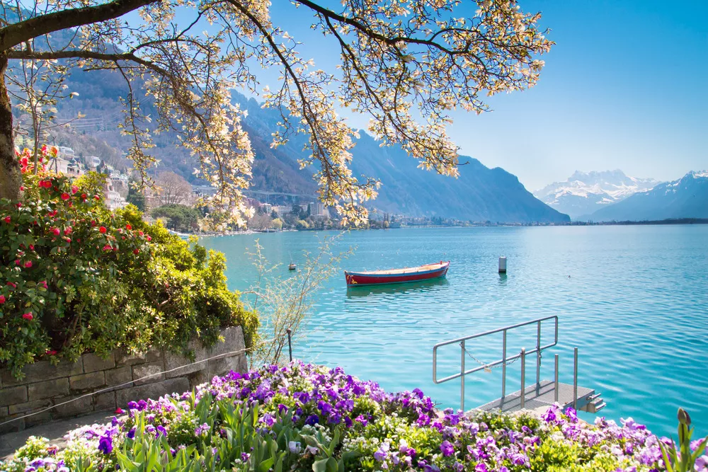 bloemen, het meer van Genève en bergen op de achtergrond