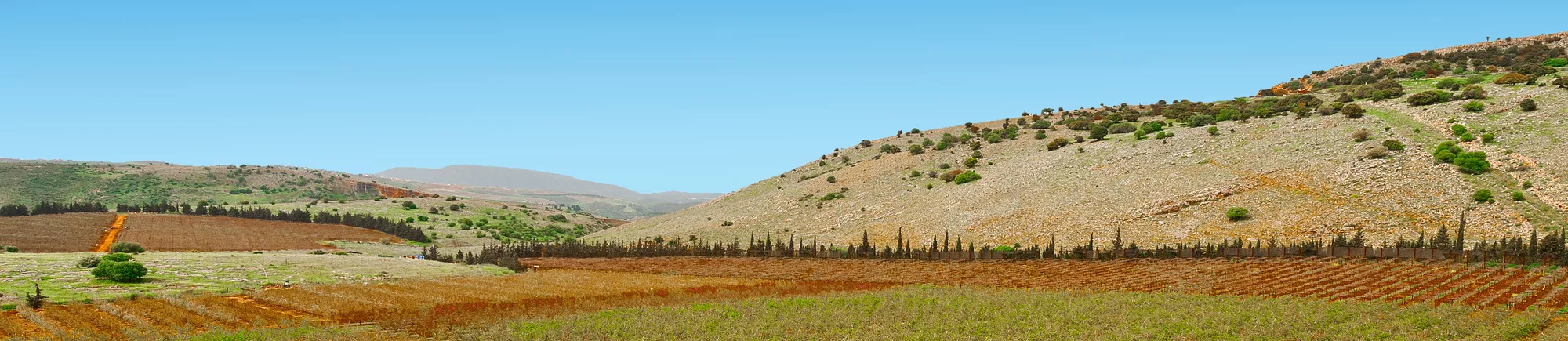 Vakantiehuizen Silves