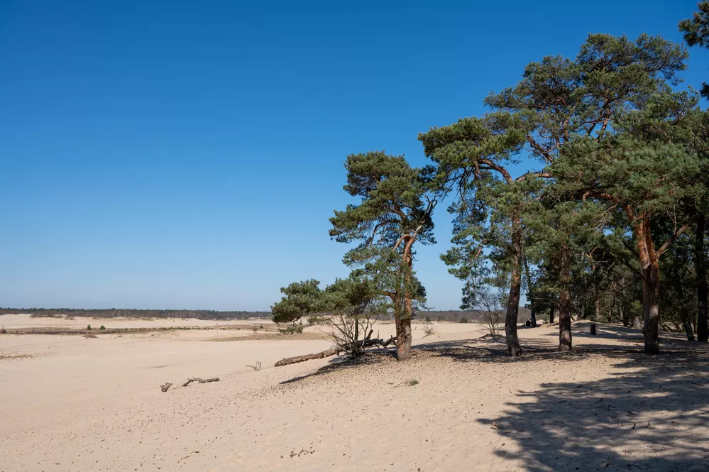 de Loonse en Drunense Duinen