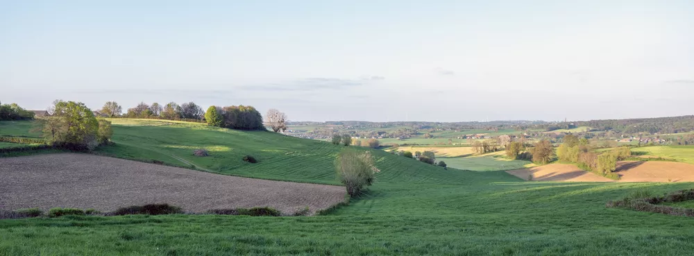 Heuvelland Limburg