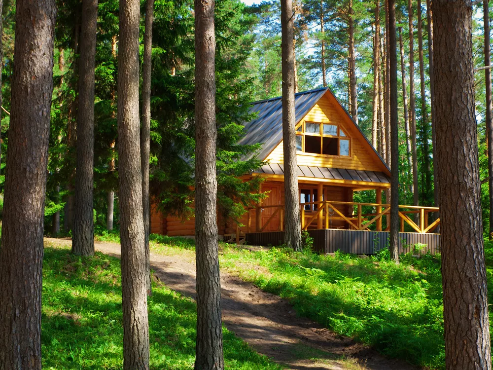 Vakantiehuisje in het bos gezocht? Ontdek inspiratie!
