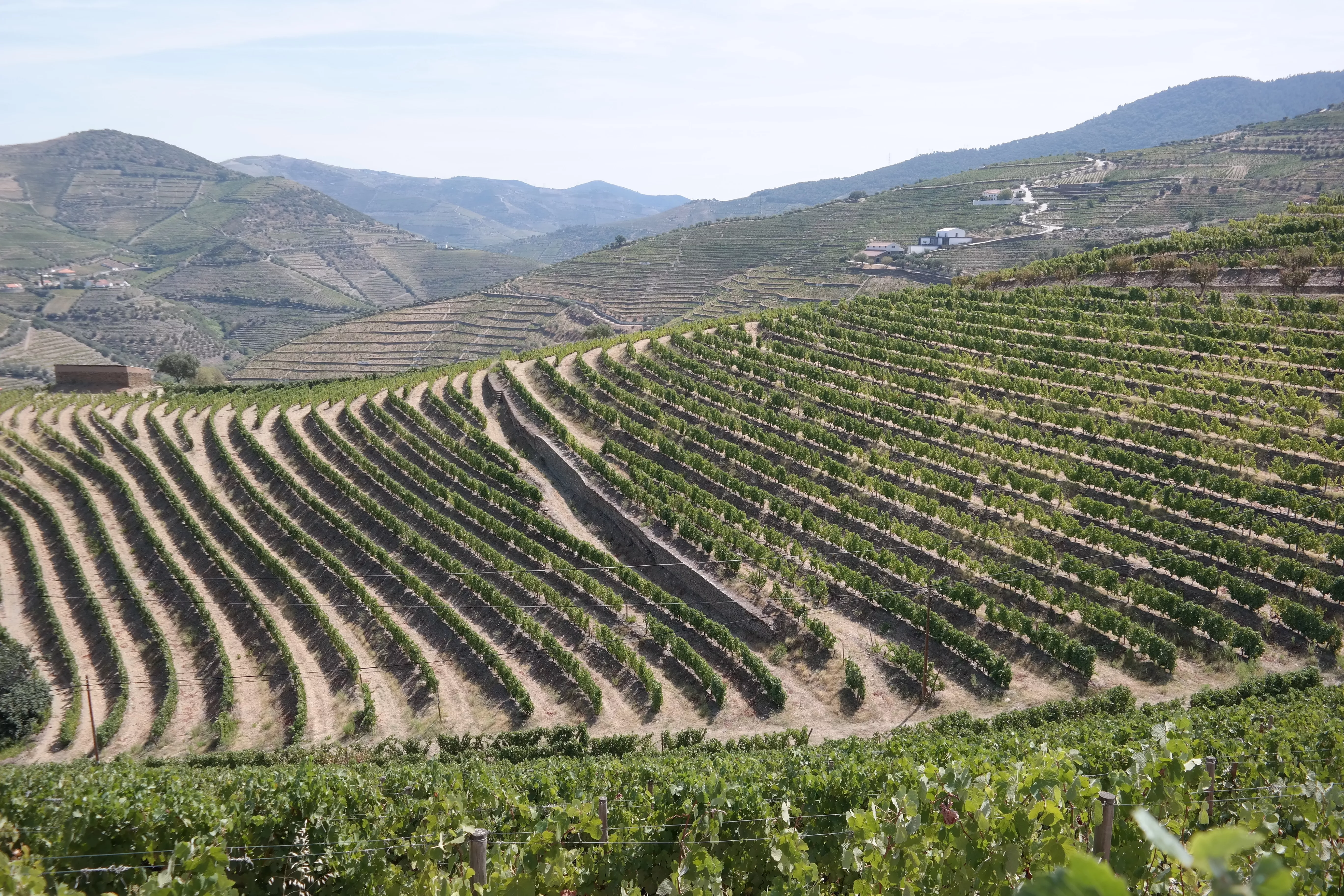 Vakantiehuizen in Portugal voor actieve reizigers.