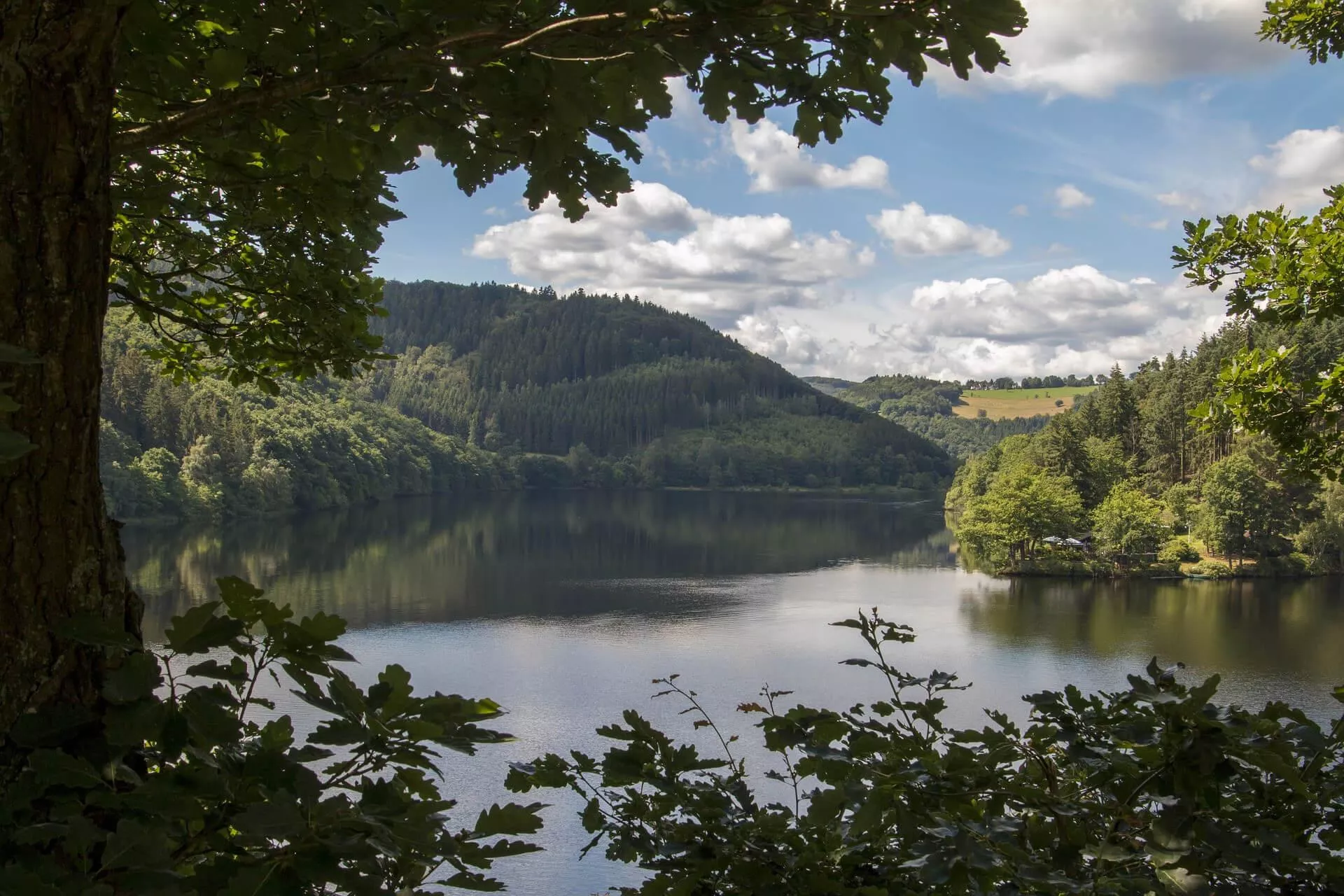 De top 6 dingen om te zien en te doen in Eifel Nationaal Park