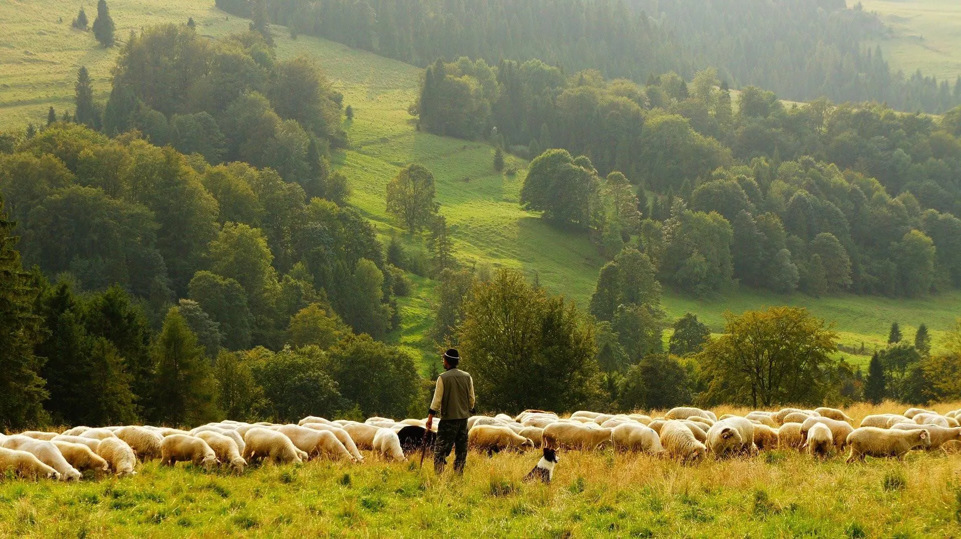 Een boerderijvakantie in Europa