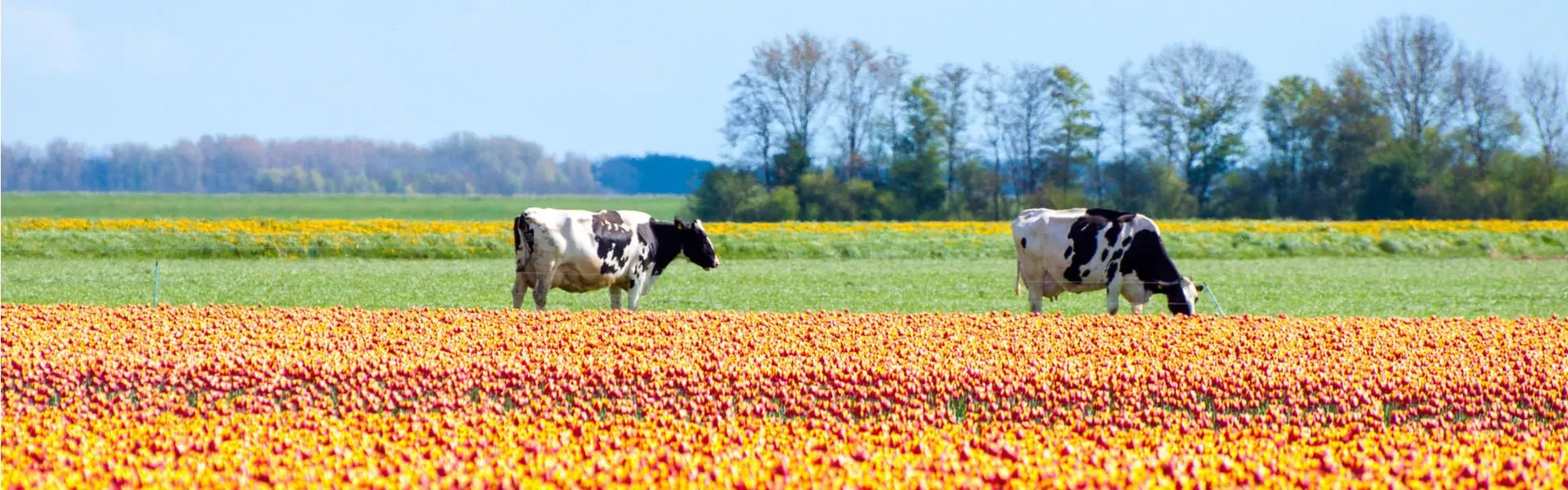 Vakantiehuizen Rutten