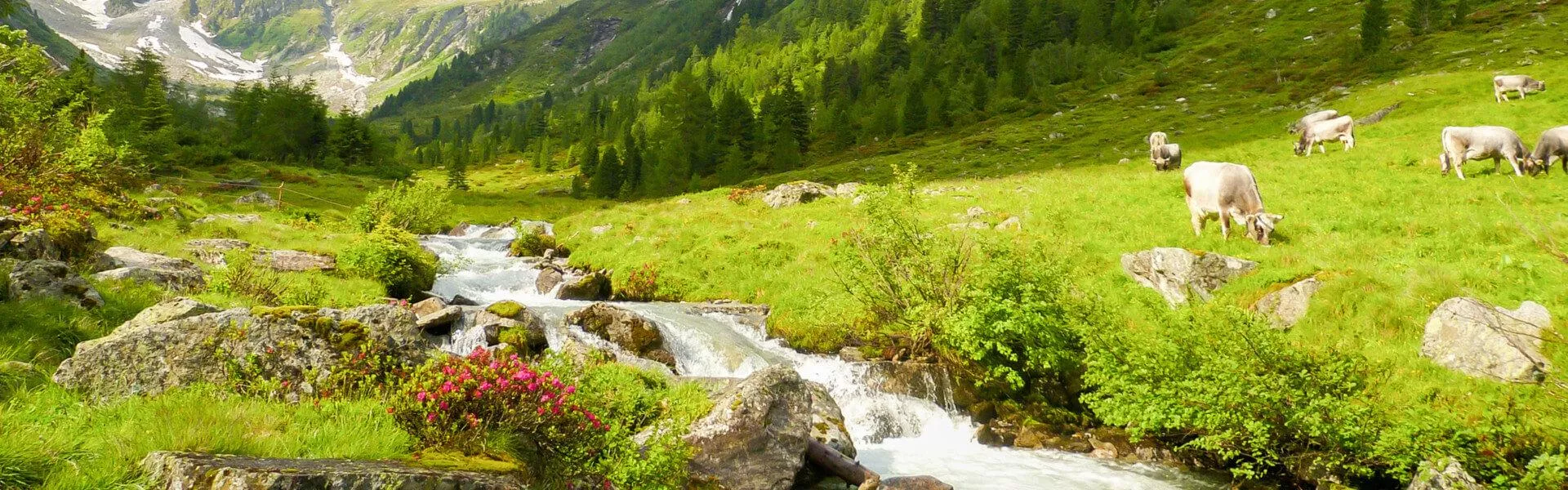 Vakantiehuizen Sankt Anton im Montafon