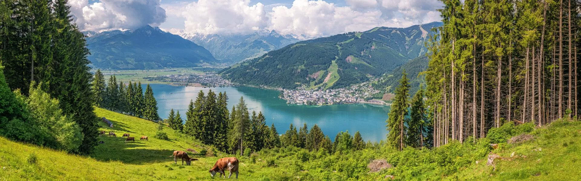 Vakantiehuizen Eben im Pongau