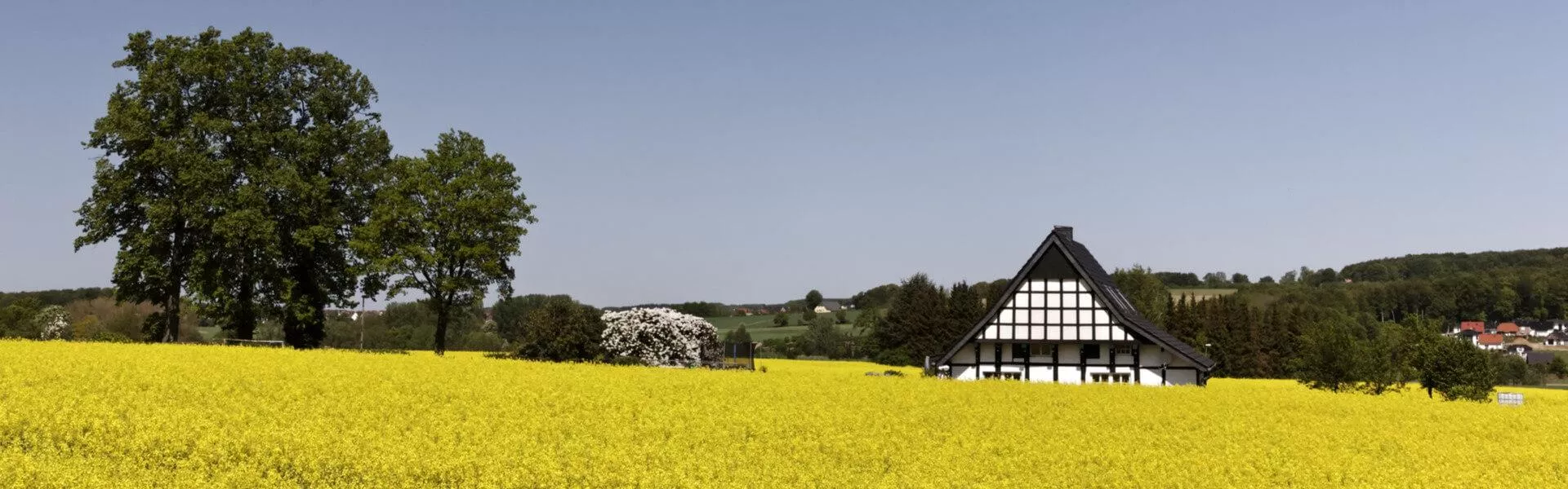 Vakantiehuizen Herzberg am Harz