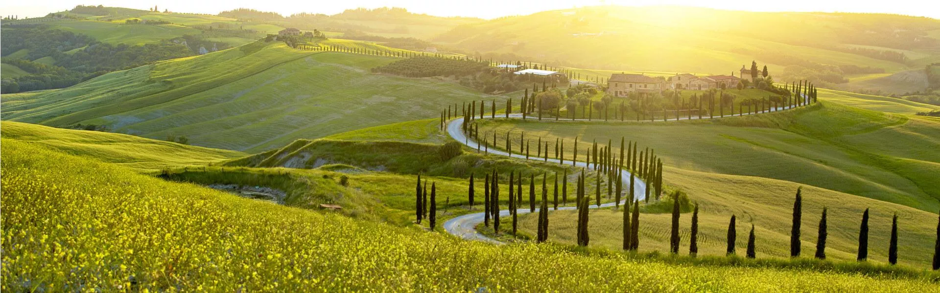 Vakantiehuizen San Gimignano