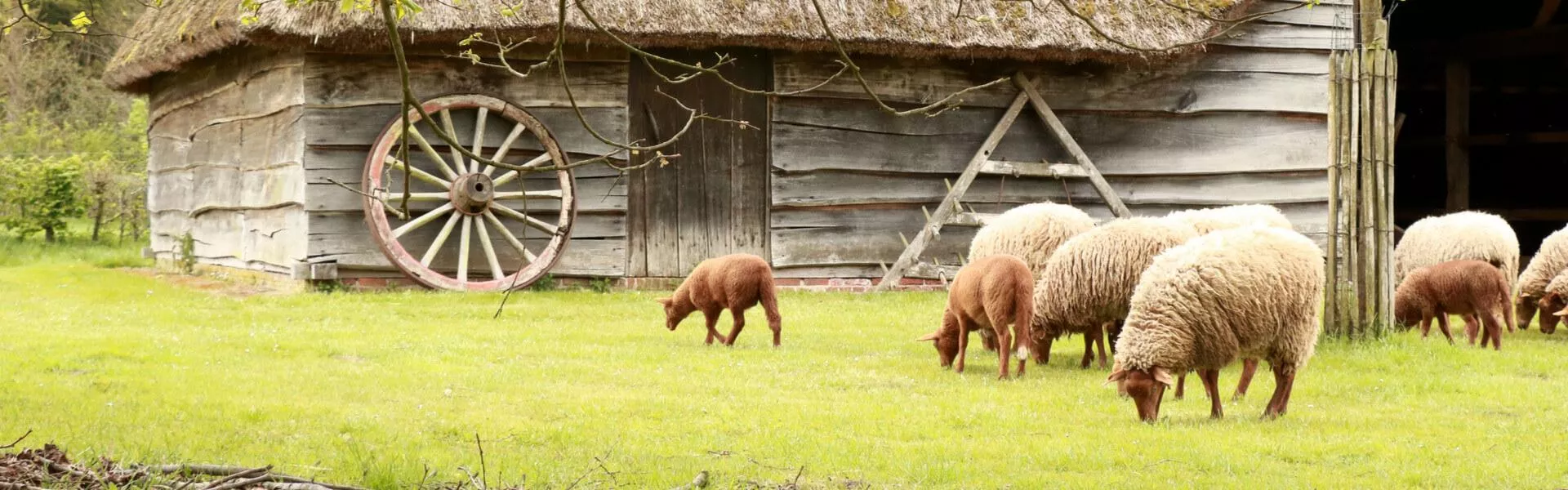 Vakantiehuizen Belgisch Limburg