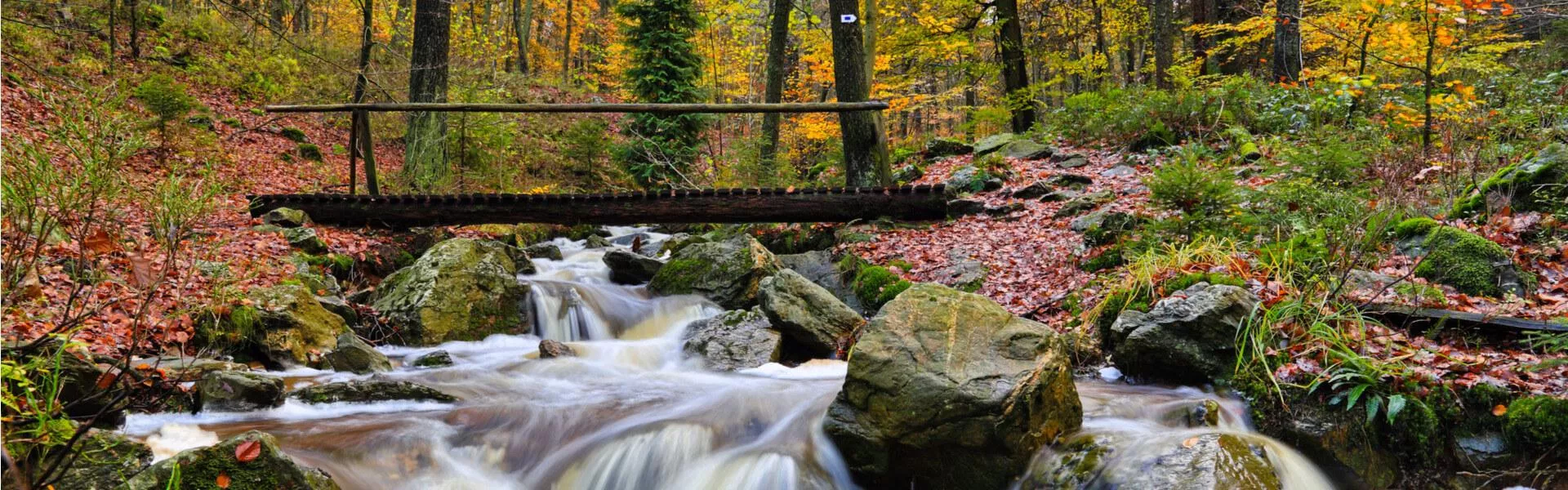 Vakantiehuizen Ardennen