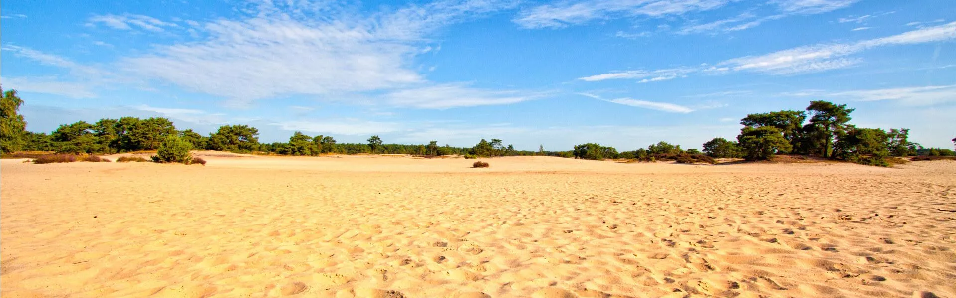 Vakantiehuizen Utrechtse heuvelrug