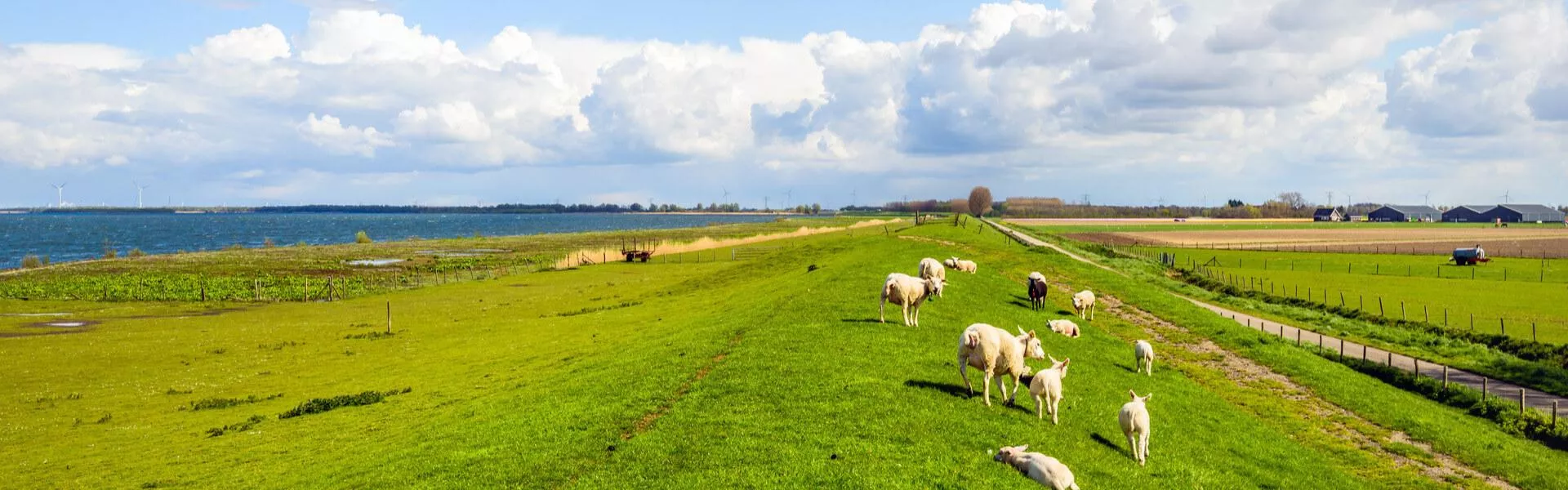 Vakantiehuizen Goeree-Overflakkee