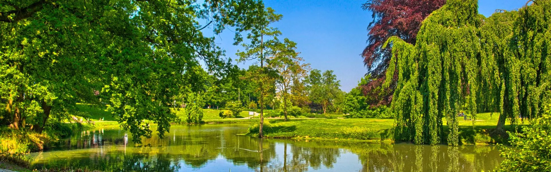 Vakantiehuizen Bergen op Zoom