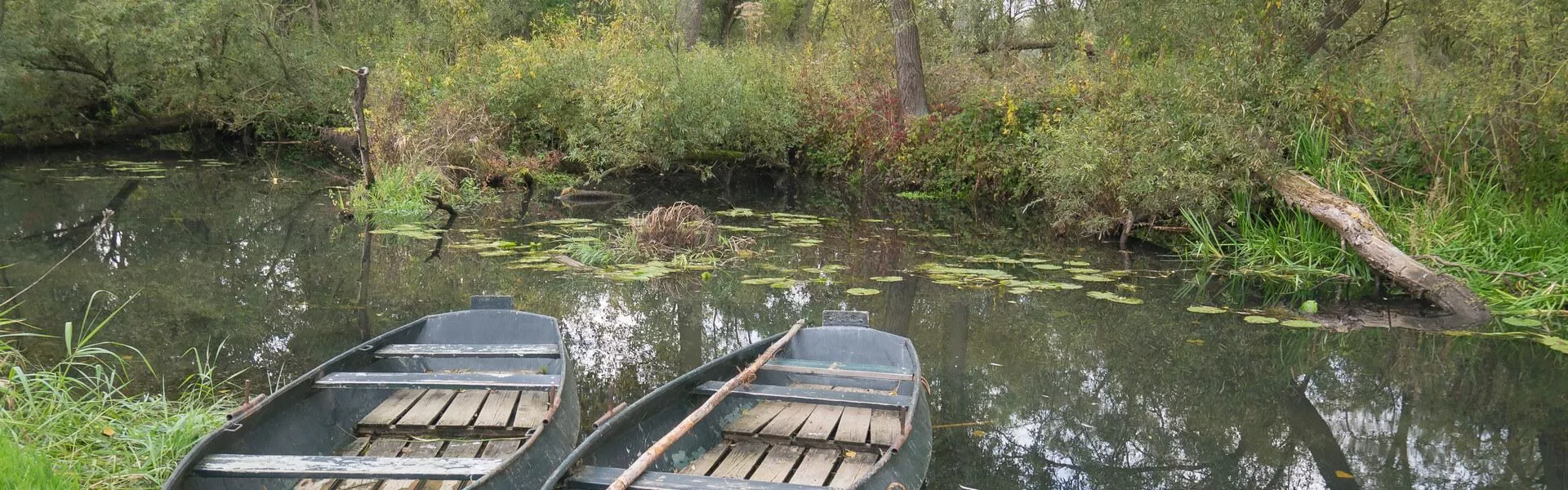 Vakantiehuis, woning of villa in de Biesbosch zoeken