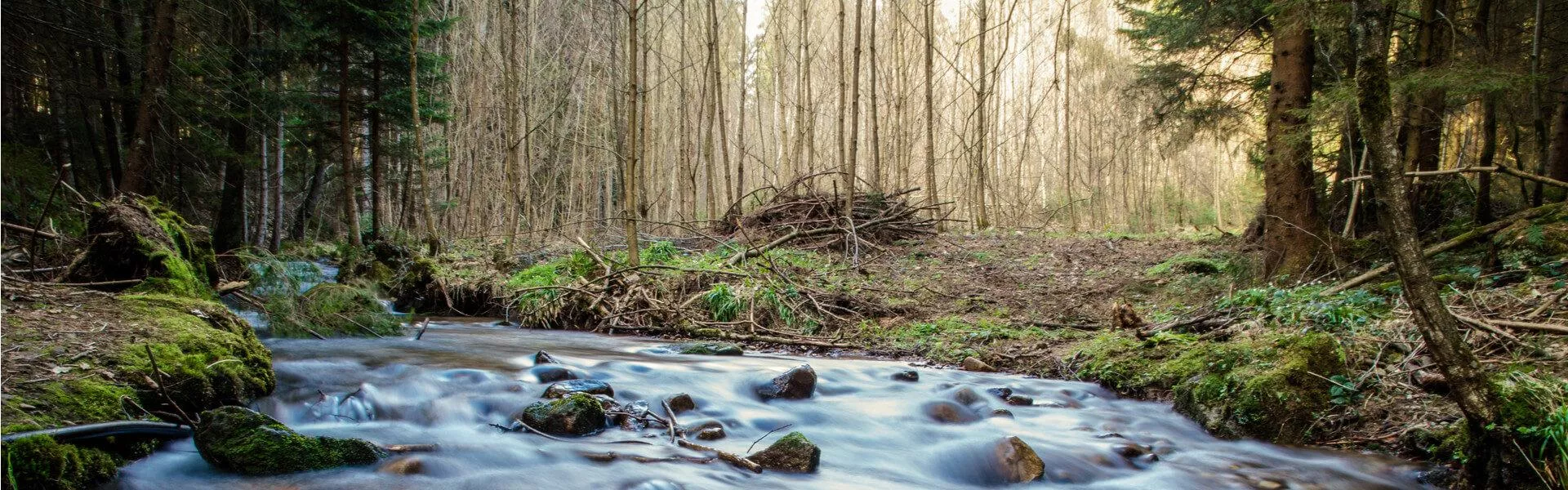 Vakantiehuizen Beierse Woud