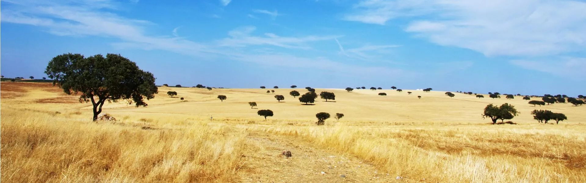 Vakantiehuizen Alentejo