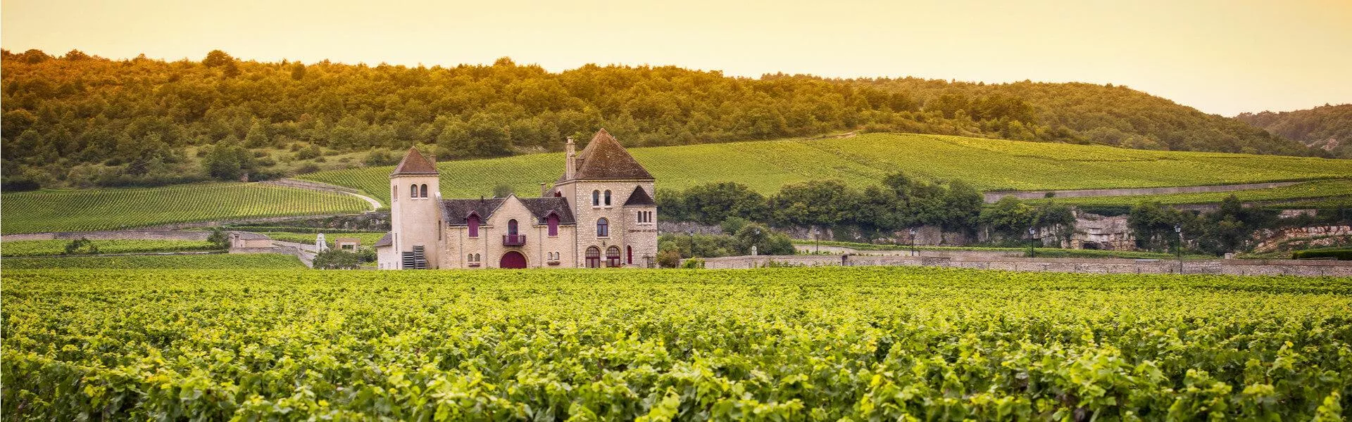 Vakantiehuizen La Rosière