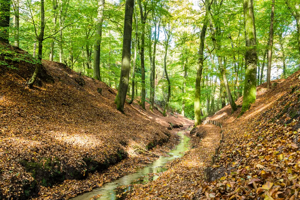 Wandelroute Berg en Dal