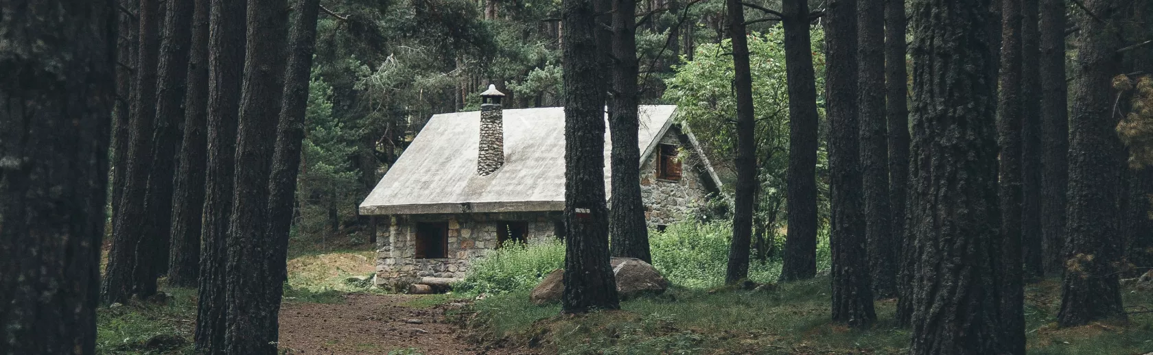 Vakantiehuizen in de natuur Nederland