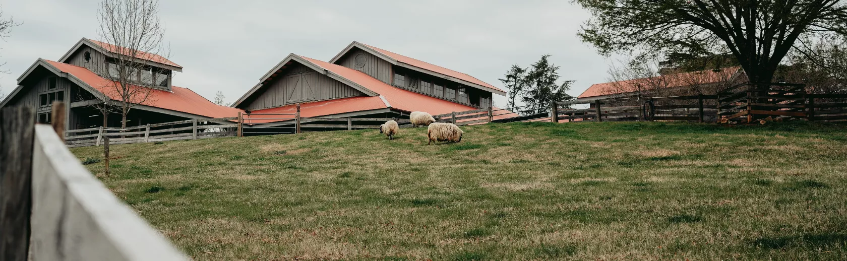 Vakantiehuizen op de boerderij zoeken in Toscane