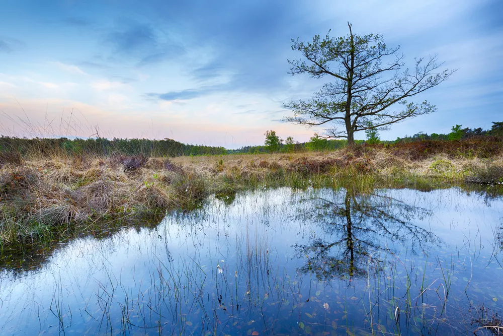 Venlandschap in Valkenswaard